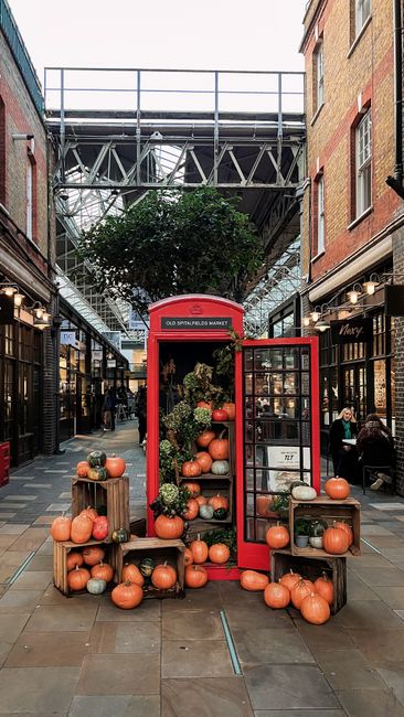 An outdoor display featuring a vintage red British telephone box repurposed as a decorative stand for pumpkins and plants within a covered shopping arcade. The pumpkins are arranged on wooden crates and shelves, varying in size and color from light orange to deep orange, with some sporting smooth surfaces and others with slight ridges. Inside the telephone box, there is a large arrangement of greenery and small ornamental plants, adding a natural touch to the display. The surrounding environment includes narrow pedestrian walkways lined with shops on both sides, with black storefront facades and large glass windows showcasing various merchandise. Overhead, a steel bridge or walkway spans across the alley, supported by metallic framework and partially covered with glass or transparent panels, allowing natural daylight to illuminate the scene. The flooring consists of patterned tiles, and a few people can be seen in the background, some sitting and some walking, indicating a lively shopping area typical of urban retail districts. The scene captures an example of creative outdoor decoration, which may be associated with local markets or seasonal display efforts, emphasizing the importance of proper rubbish handling and waste disposal by services such as Waste Clearance Shoreditch in maintaining such tidy urban environments.